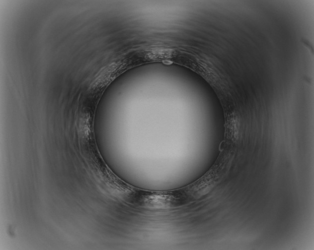 X0000100960323200806241533