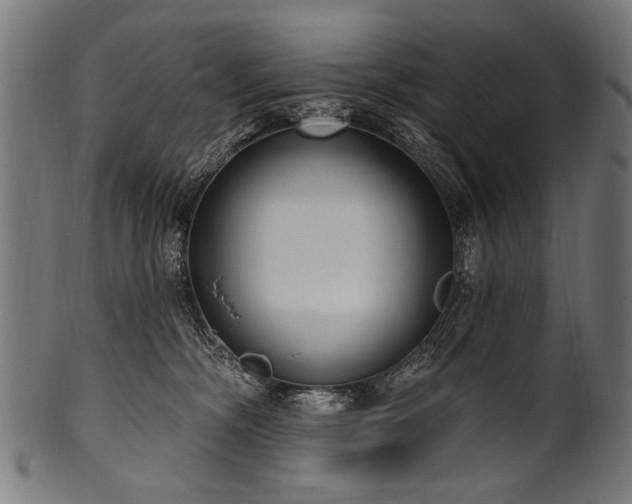 X0000100960326200806241533