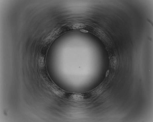 X0000100960327200806241533