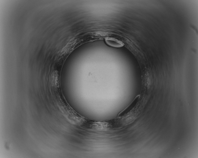 X0000100960328200806241533