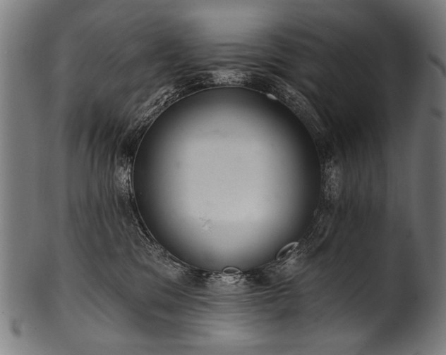 X0000100960329200806241533
