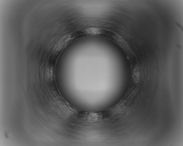 X0000100960330200806241533