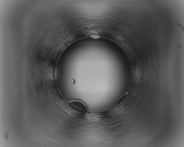 X0000100960331200806241533