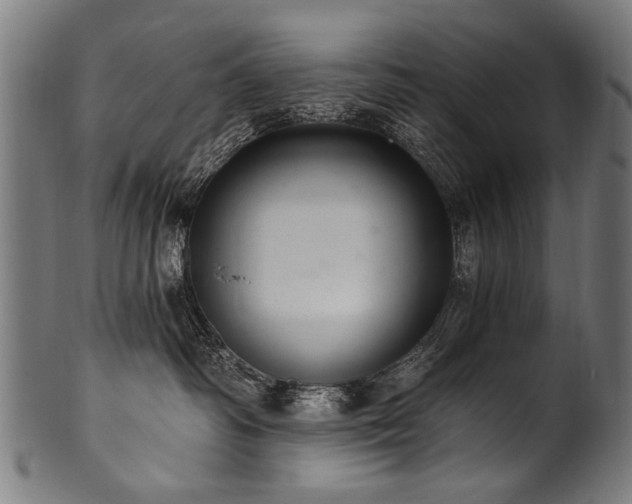 X0000100960334200806241533