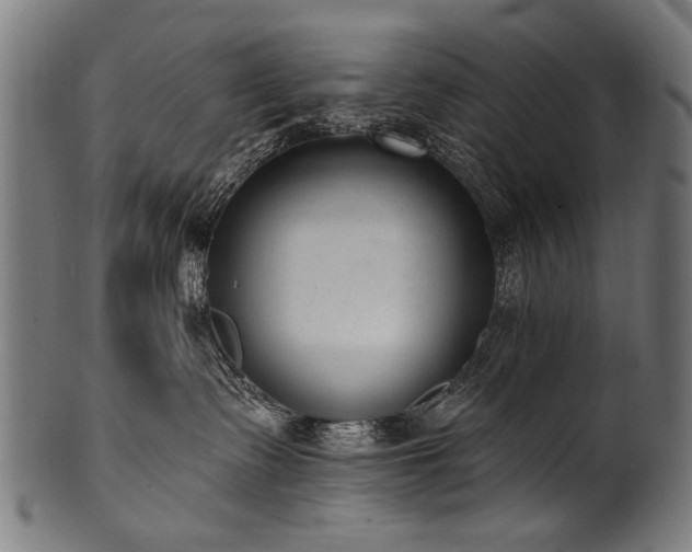 X0000100960335200806241533