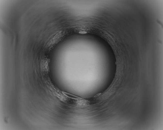 X0000100960336200806241533