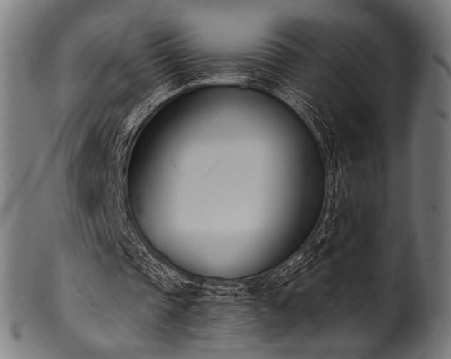 X0000100960337200806241532