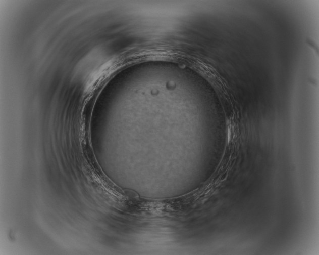 X0000100960339200806241532