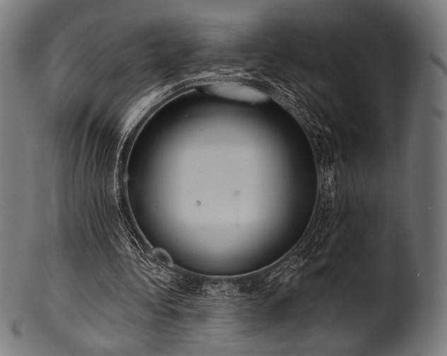 X0000100960340200806241532
