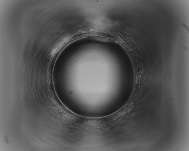 X0000100960341200806241532