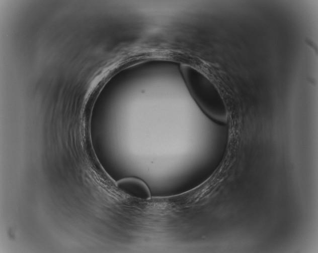 X0000100960342200806241532