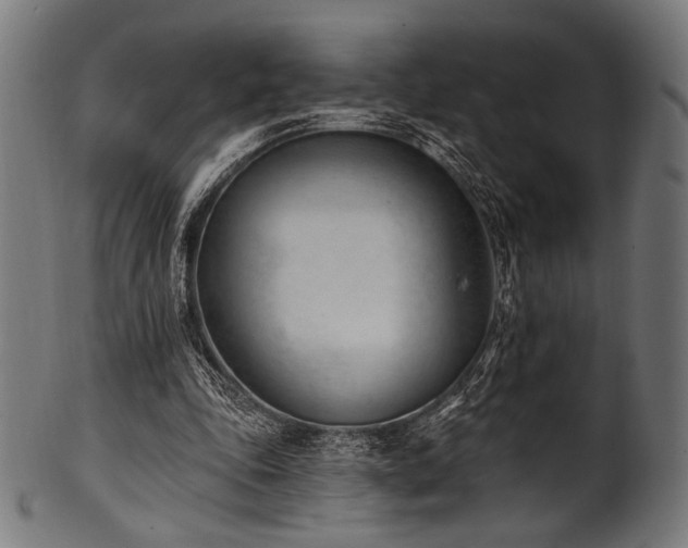 X0000100960343200806241532