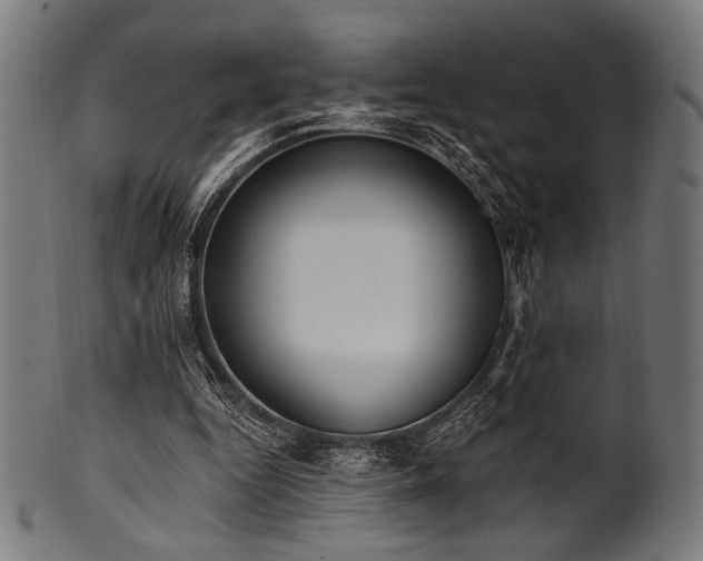 X0000100960344200806241532