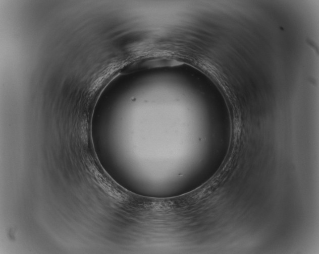 X0000100960345200806241532