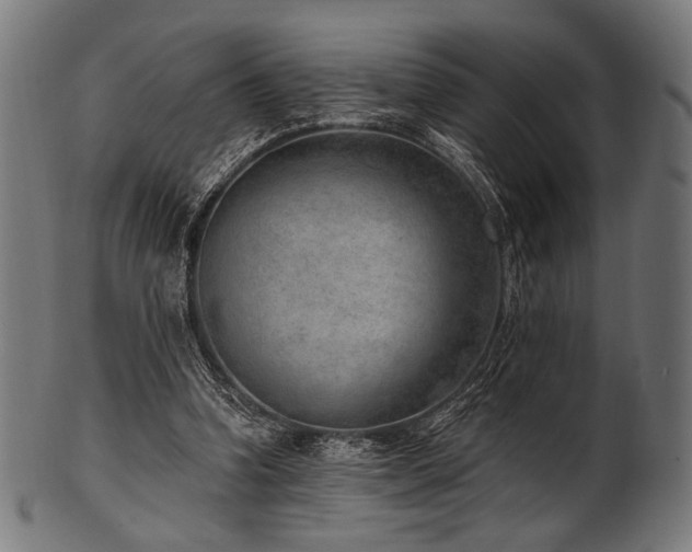 X0000100960346200806241532