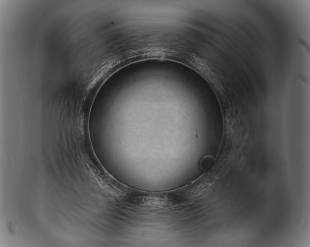 X0000100960347200806241532