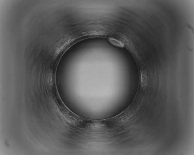 X0000100960348200806241532