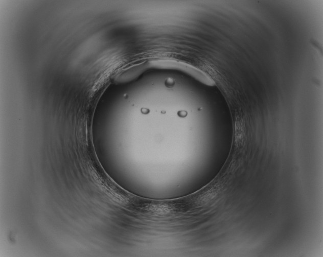 X0000100960349200806241532