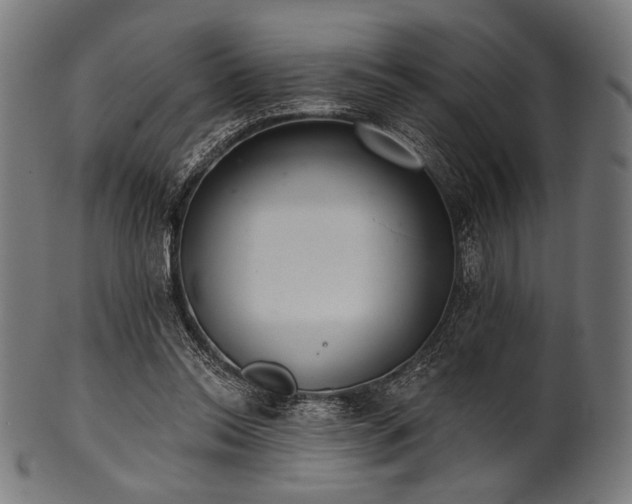 X0000100960350200806241532