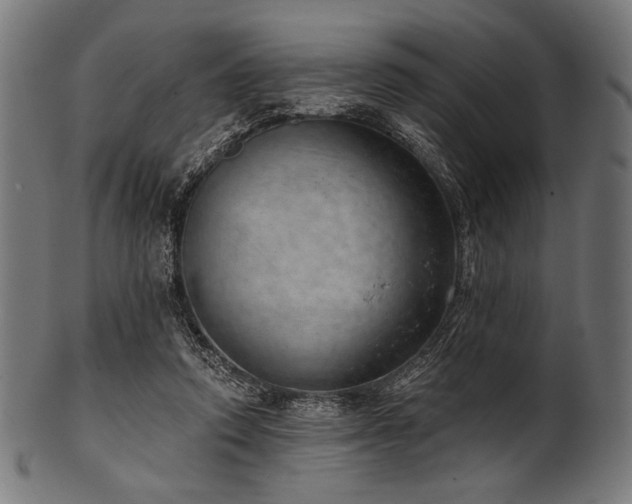 X0000100960354200806241532