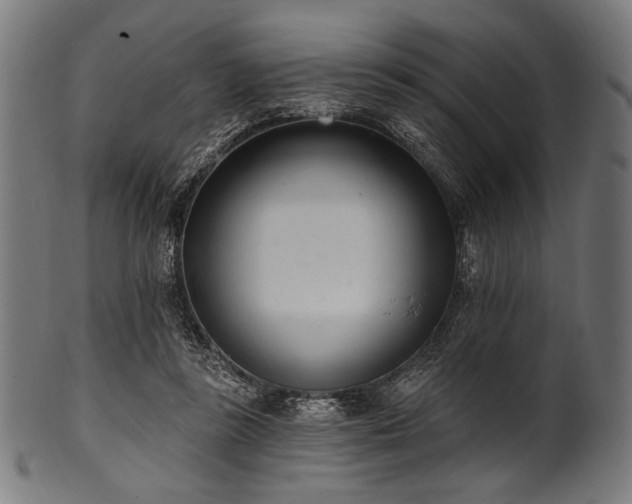 X0000100960355200806241532