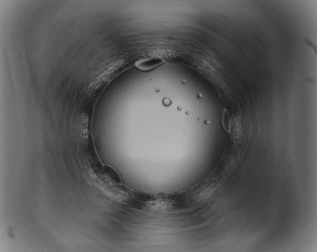 X0000100960356200806241532