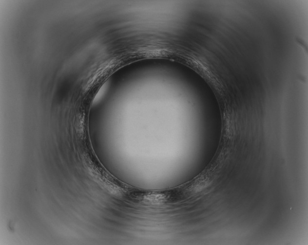 X0000100960357200806241532