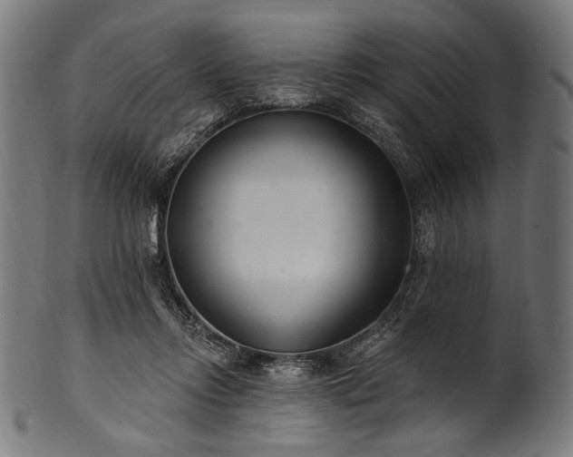 X0000100960358200806241532
