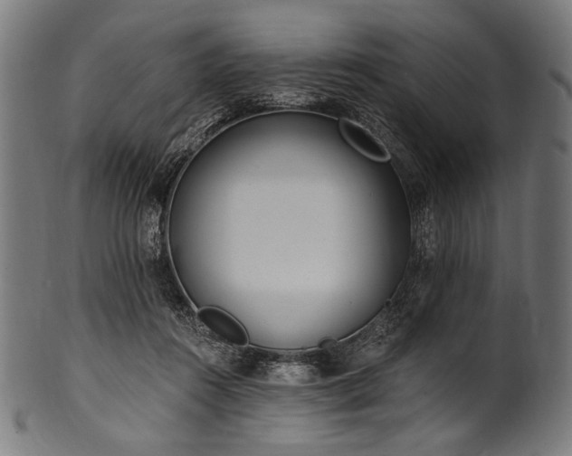 X0000100960360200806241532
