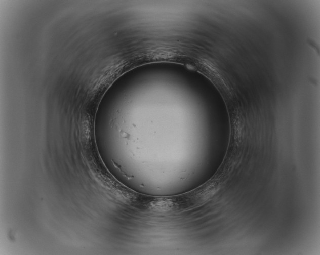 X0000100960362200806241532