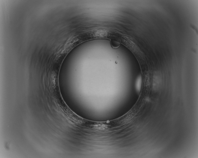 X0000100960363200806241532