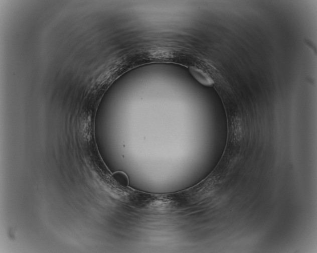 X0000100960364200806241532