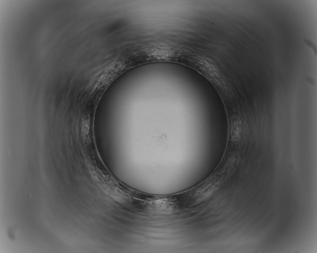 X0000100960365200806241532