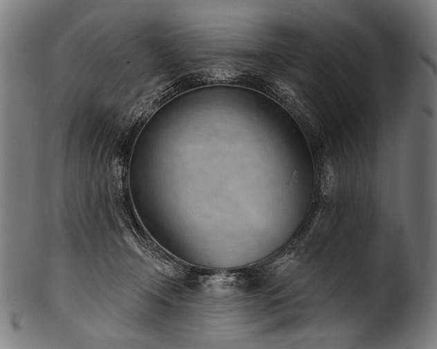 X0000100960366200806241532