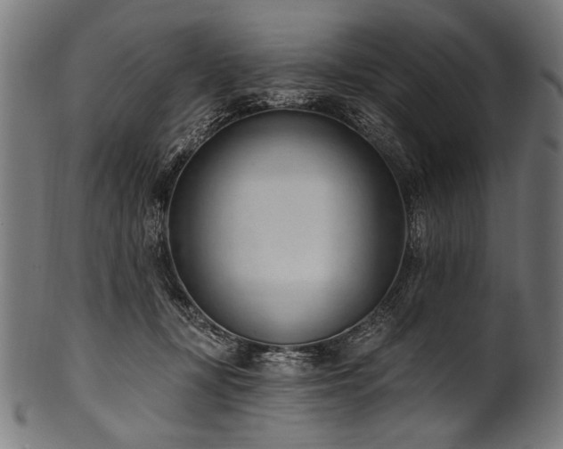 X0000100960367200806241532