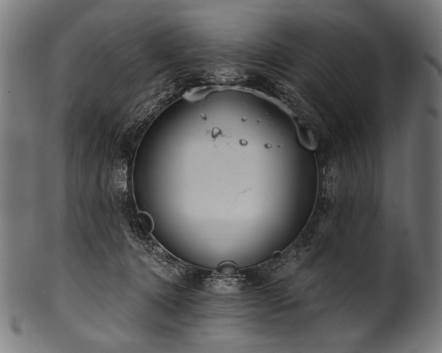 X0000100960368200806241532