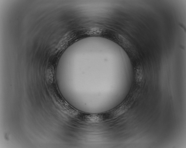 X0000100960370200806241532