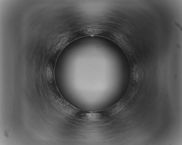 X0000100960371200806241533