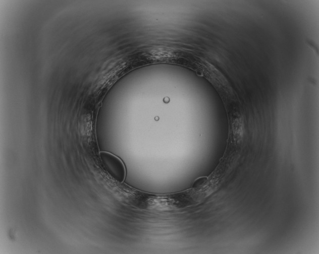 X0000100960372200806241533