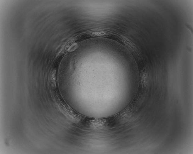 X0000100960373200806241533