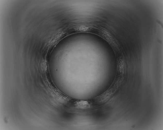X0000100960374200806241533