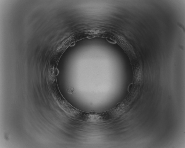 X0000100960376200806241533