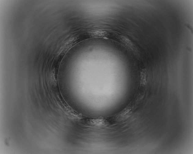 X0000100960377200806241533