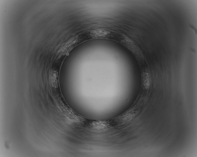 X0000100960378200806241533