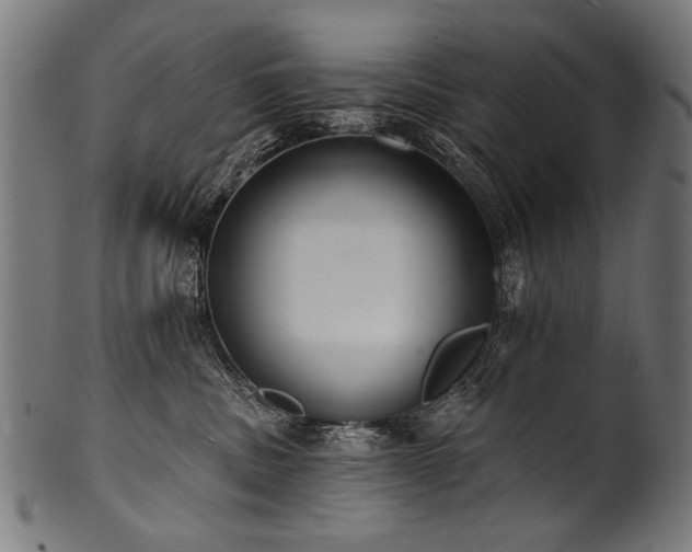 X0000100960379200806241533