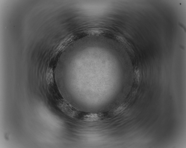 X0000100960381200806241533
