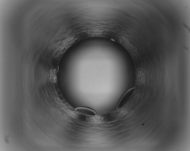 X0000100960383200806241533