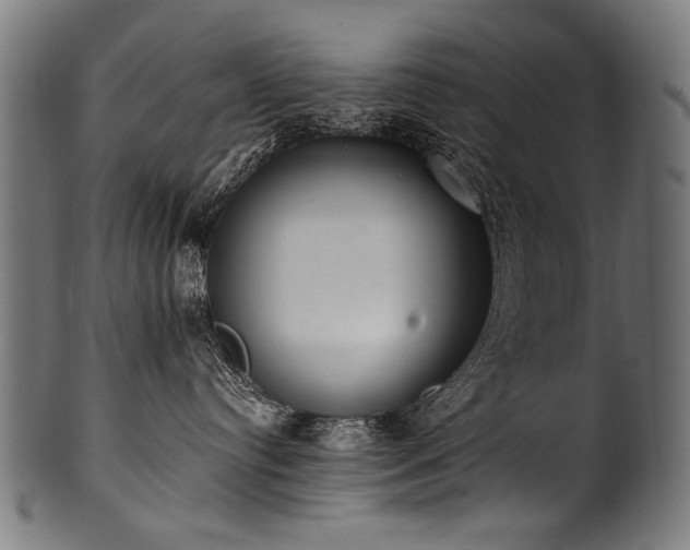 X0000100960384200806241533