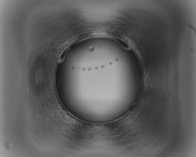 X0000100960385200806241532