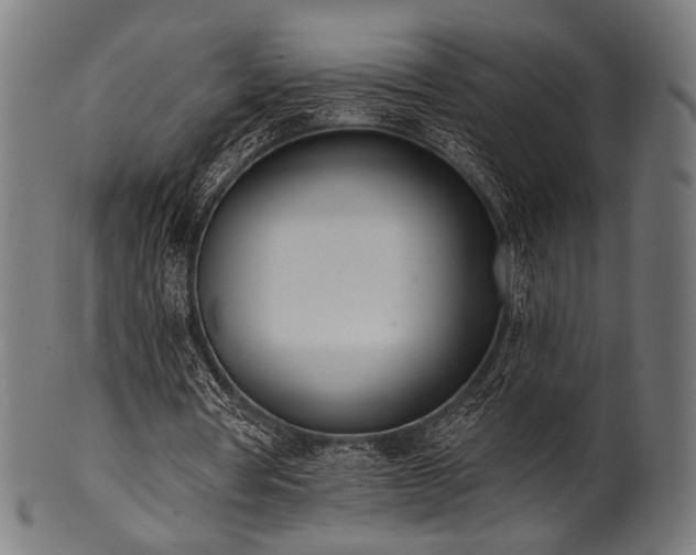 X0000100960386200806241532